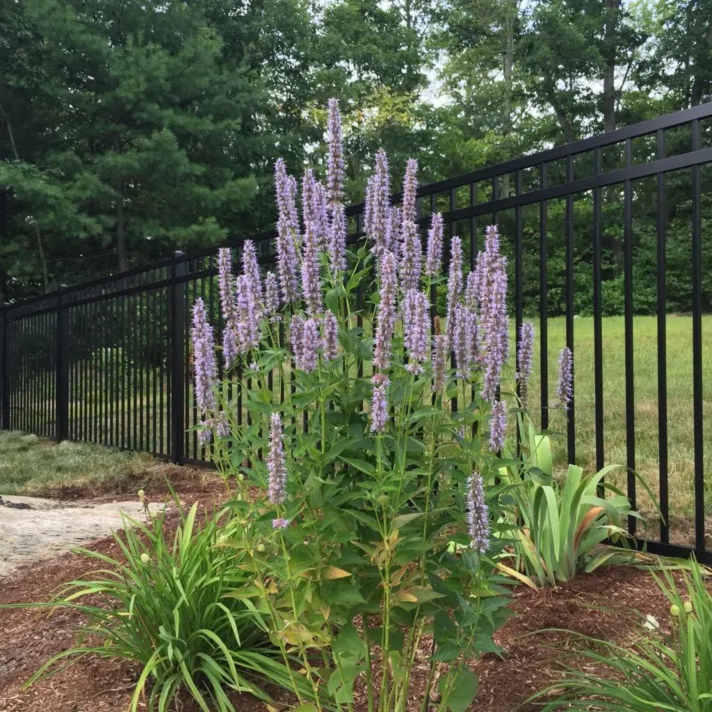 Black aluminum fence project 3